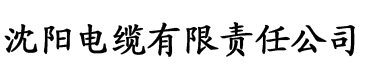 红桃在线看片电缆厂logo